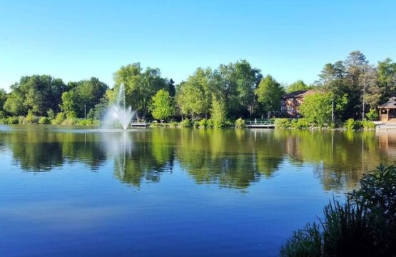 Mill Pond Park