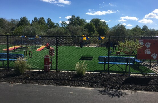 Newbridge road park